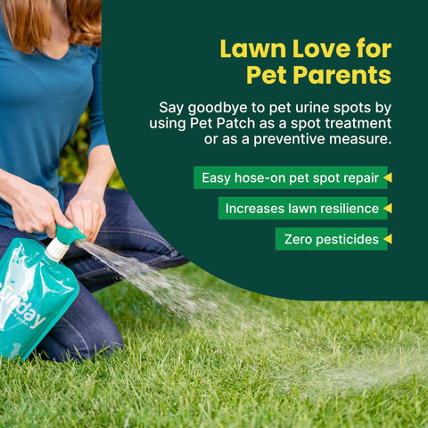 SUNDAY Pet Patch two-pack kit shown with bottle and sprayer.