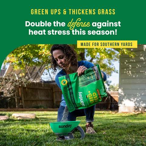 SUNDAY South Seed + Feed built-in fertilizer nourishes roots over time