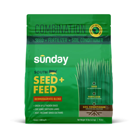 SUNDAY South Seed + Feed heat-tolerant seed for sun-loving lawns and thicker turf