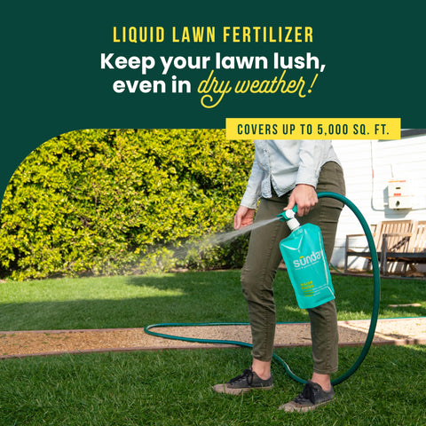 SUNDAY Water Focus hose-end sprayer ensures even nutrient distribution for hot-season turf.