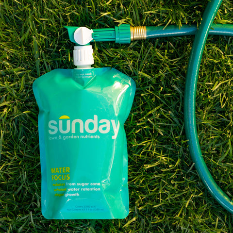 SUNDAY Water Focus ready-to-use protocol supports spring to fall lawn care.