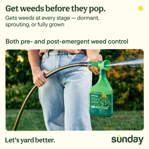SUNDAY Weed & Green demonstrates 1250 sq ft coverage for weed prevention across turf