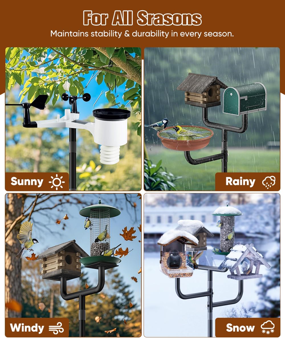 Sungaryard Compatible with various birds supporting diverse backyard visits.