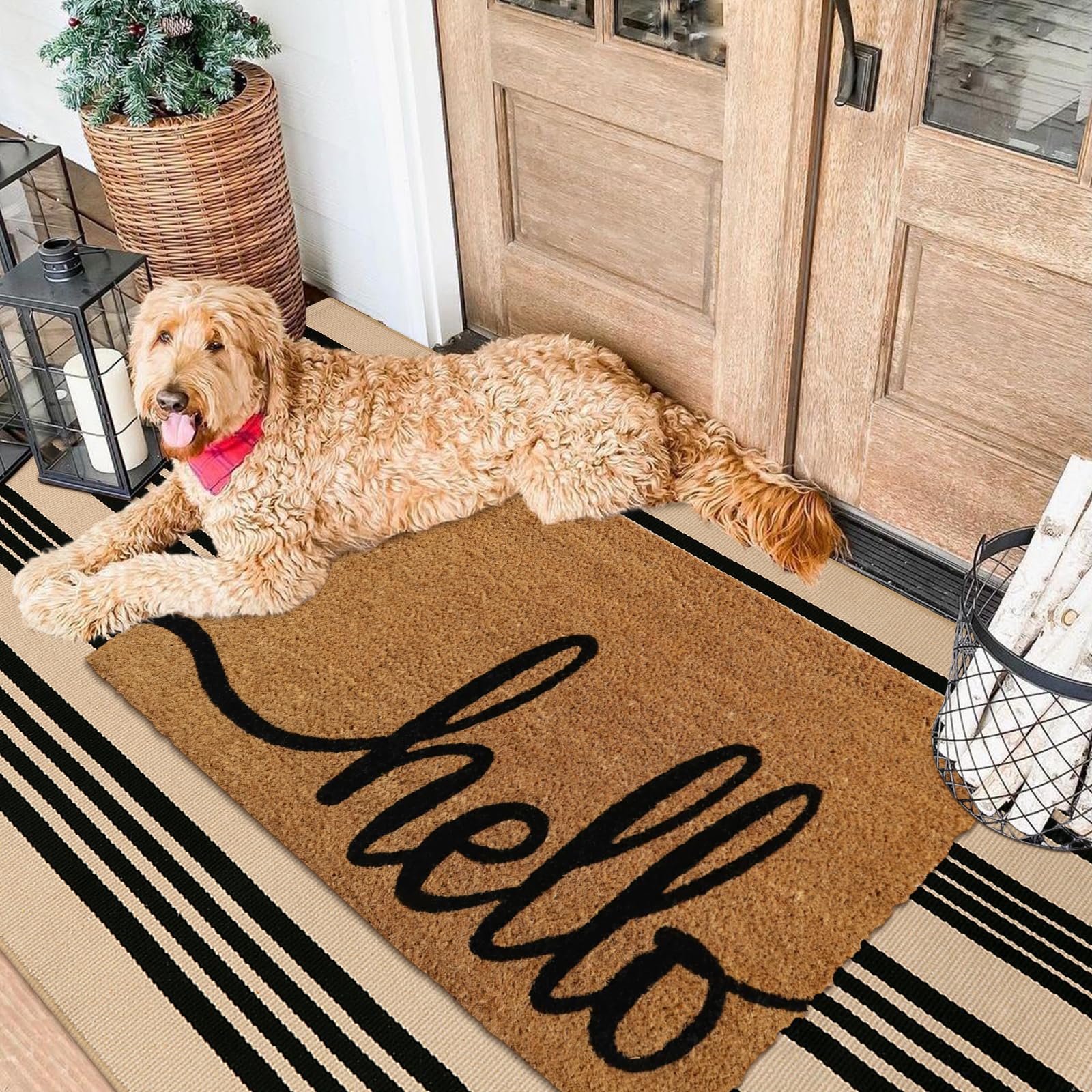 Sungea outdoor cotton hand woven rug ideal for entryways and patios.