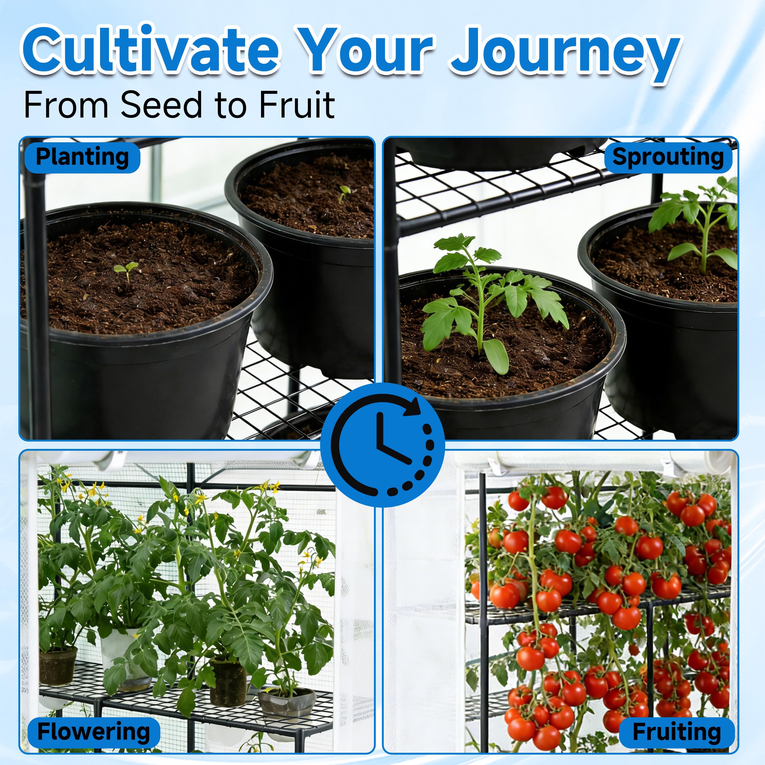 SUNGIFT greenhouse interior with three tiers and 20 shelves for organized care.