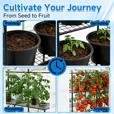 SUNGIFT greenhouse interior with three tiers and 20 shelves for organized care.