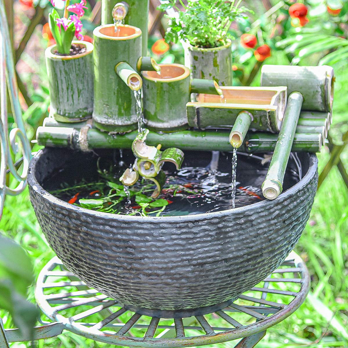 Sungmor large bird-bath display adds charm and provides a water source for visiting birds.