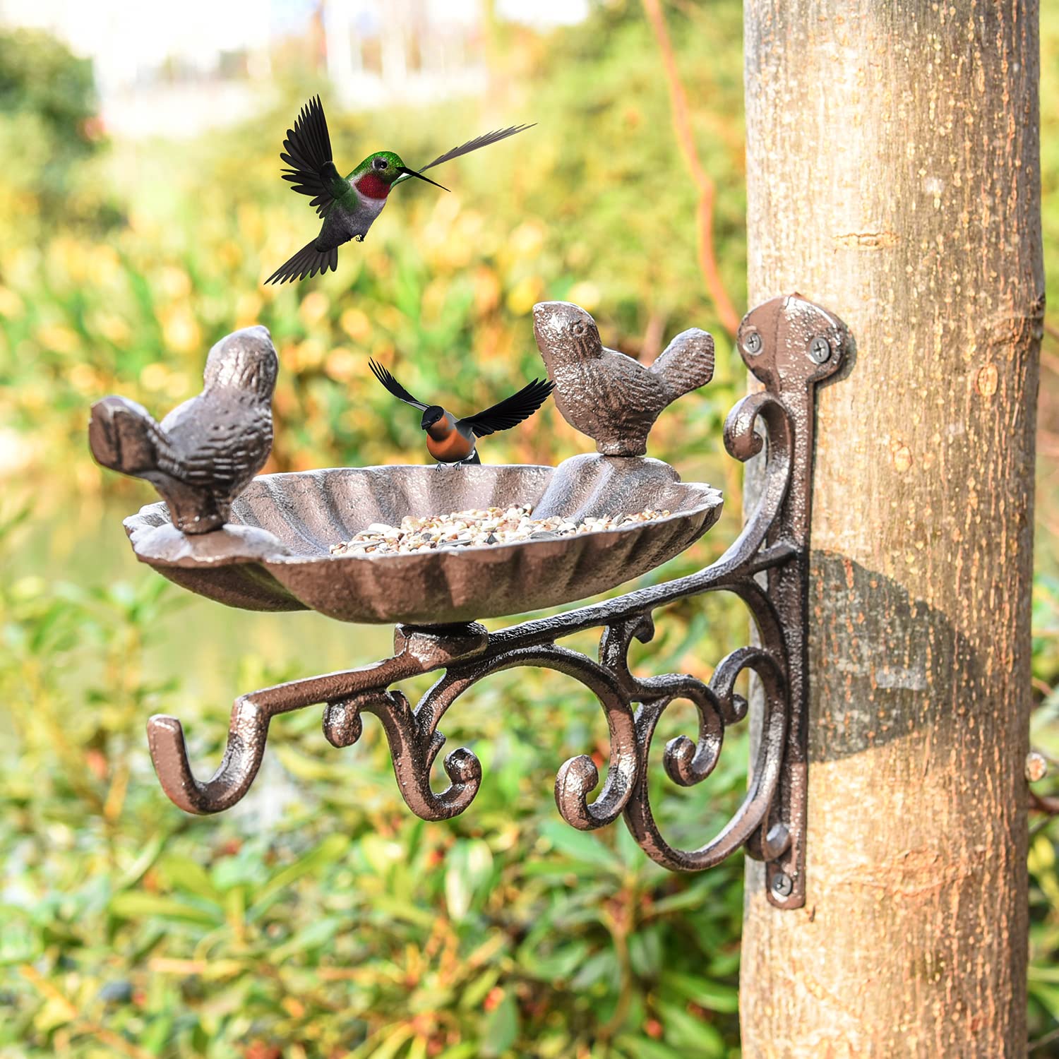 Sungmor wall mounted bird bath and planter hanger adding elegant garden decor