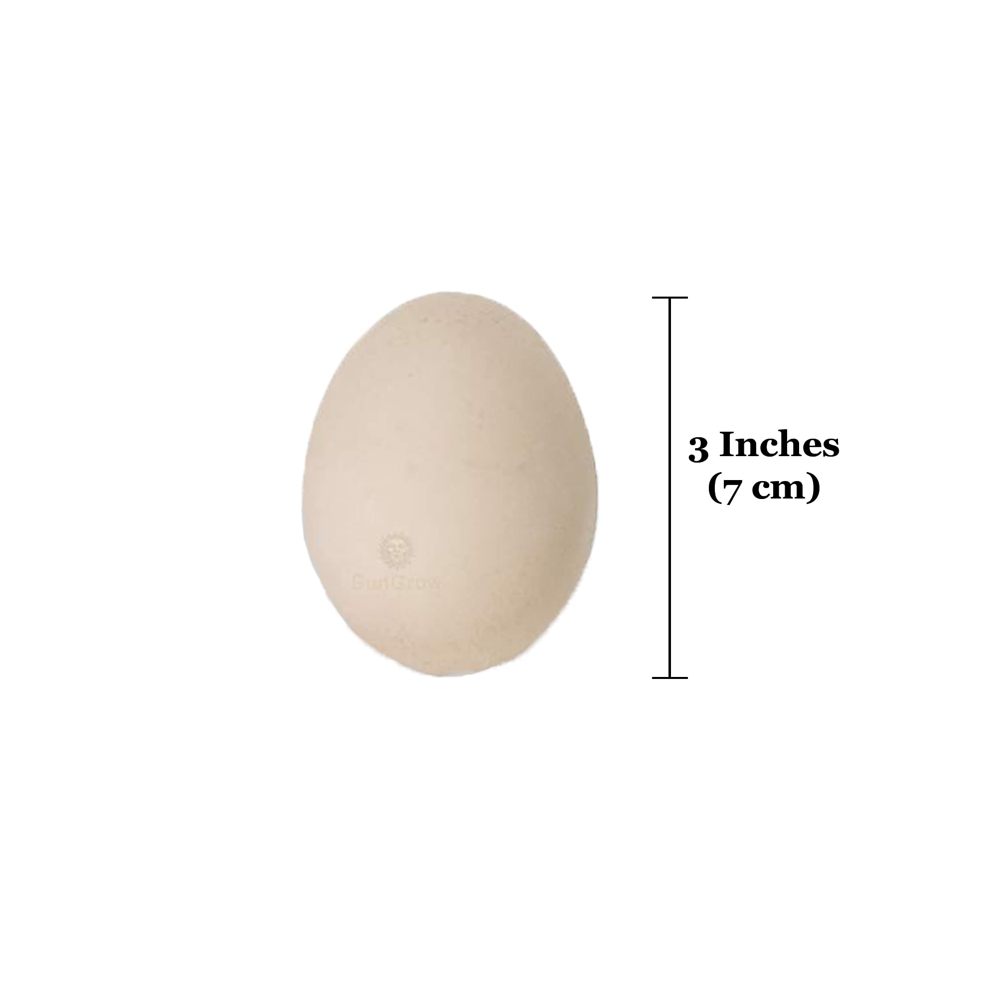 SunGrow four-pack eggs help prevent egg pecking in the coop