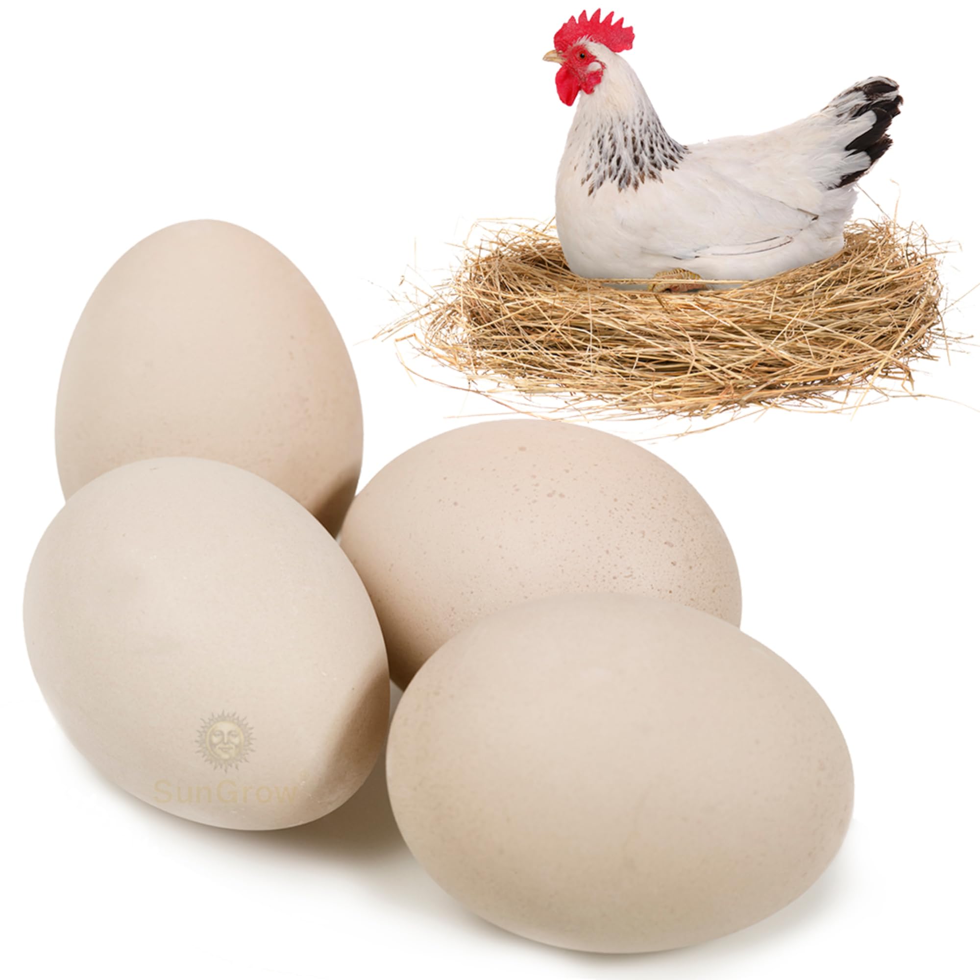 SunGrow beige wooden nest eggs in a coop nest box guide hens to lay