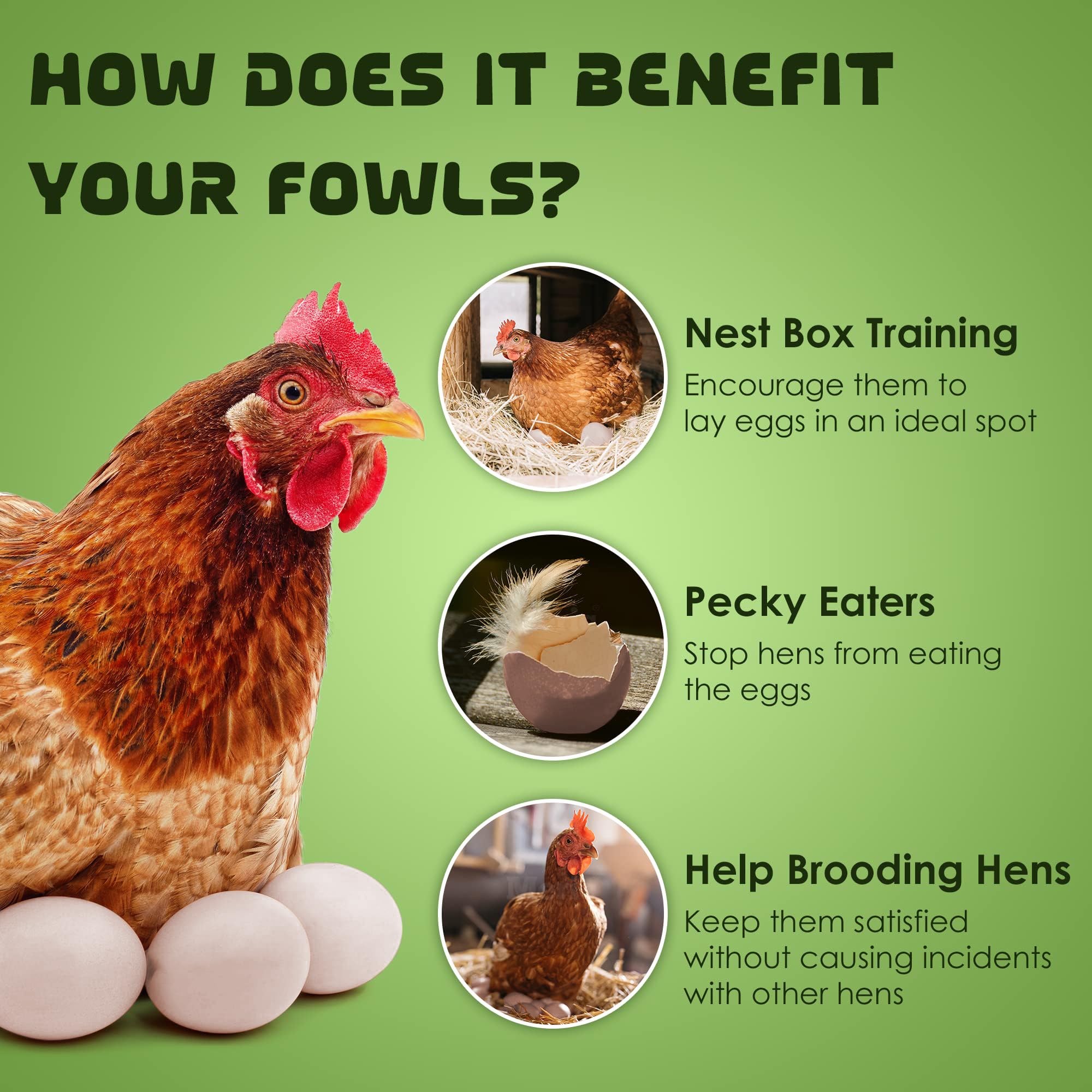 SunGrow nest eggs used to train hens to lay in the nest box