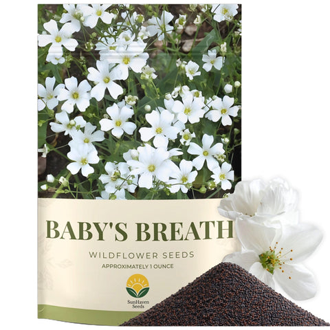 SunHaven Seeds Baby's Breath 1oz packet preserves bulk sowing in borders.