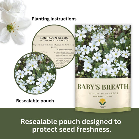 SunHaven Seeds Baby's Breath close-up shows white blooms for bouquets.