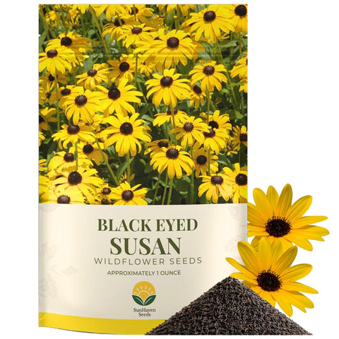 SunHaven Seeds black-eyed Susan seeds in a 100k-pack for large garden coverage