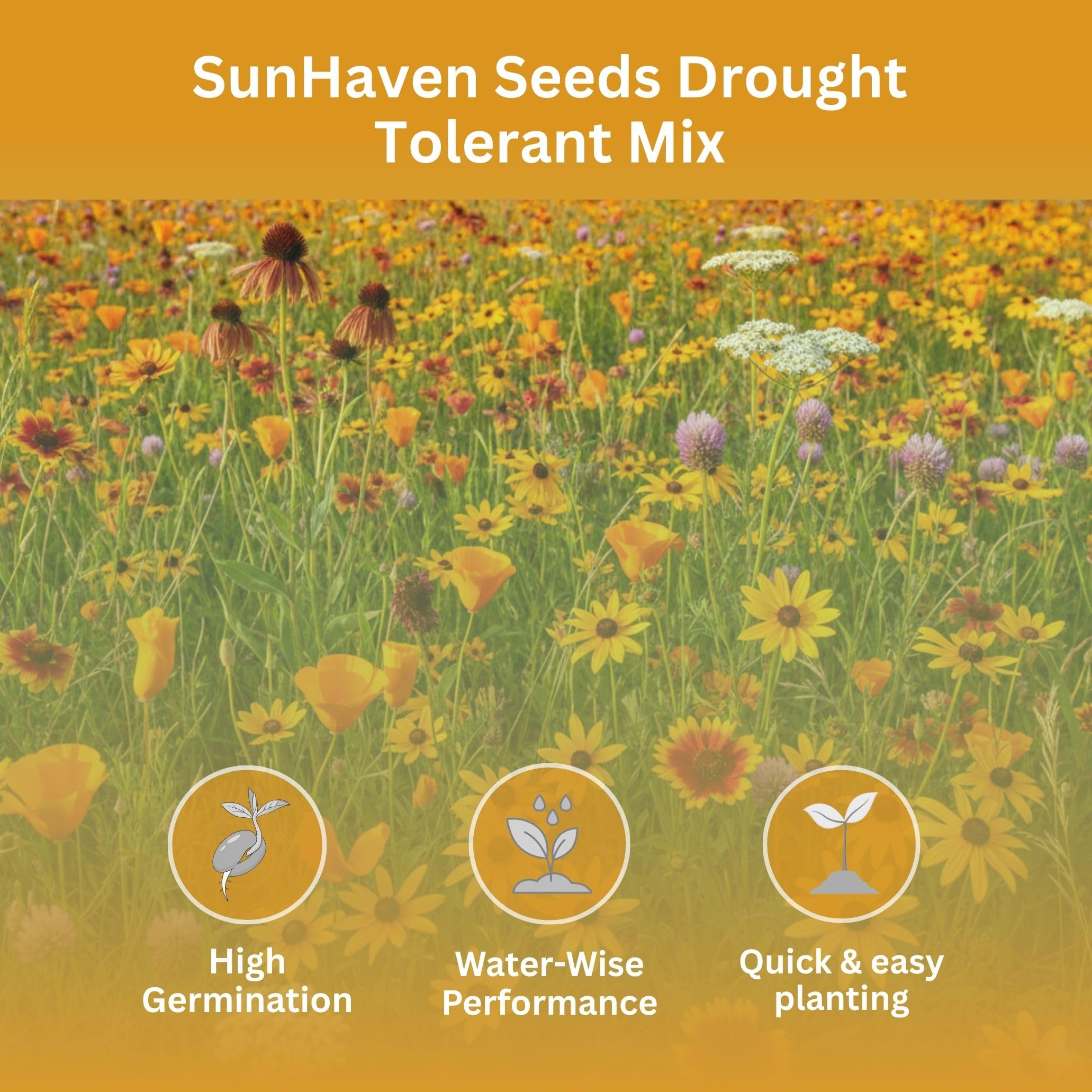 SunHaven Seeds 1 oz resealable packet; long-term storage and easy sowing.