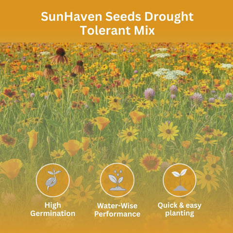 SunHaven Seeds 1 oz resealable packet; long-term storage and easy sowing.