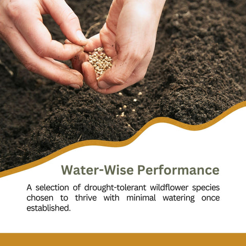 SunHaven Seeds easy-planting approach; ready for multiple sowing sessions.