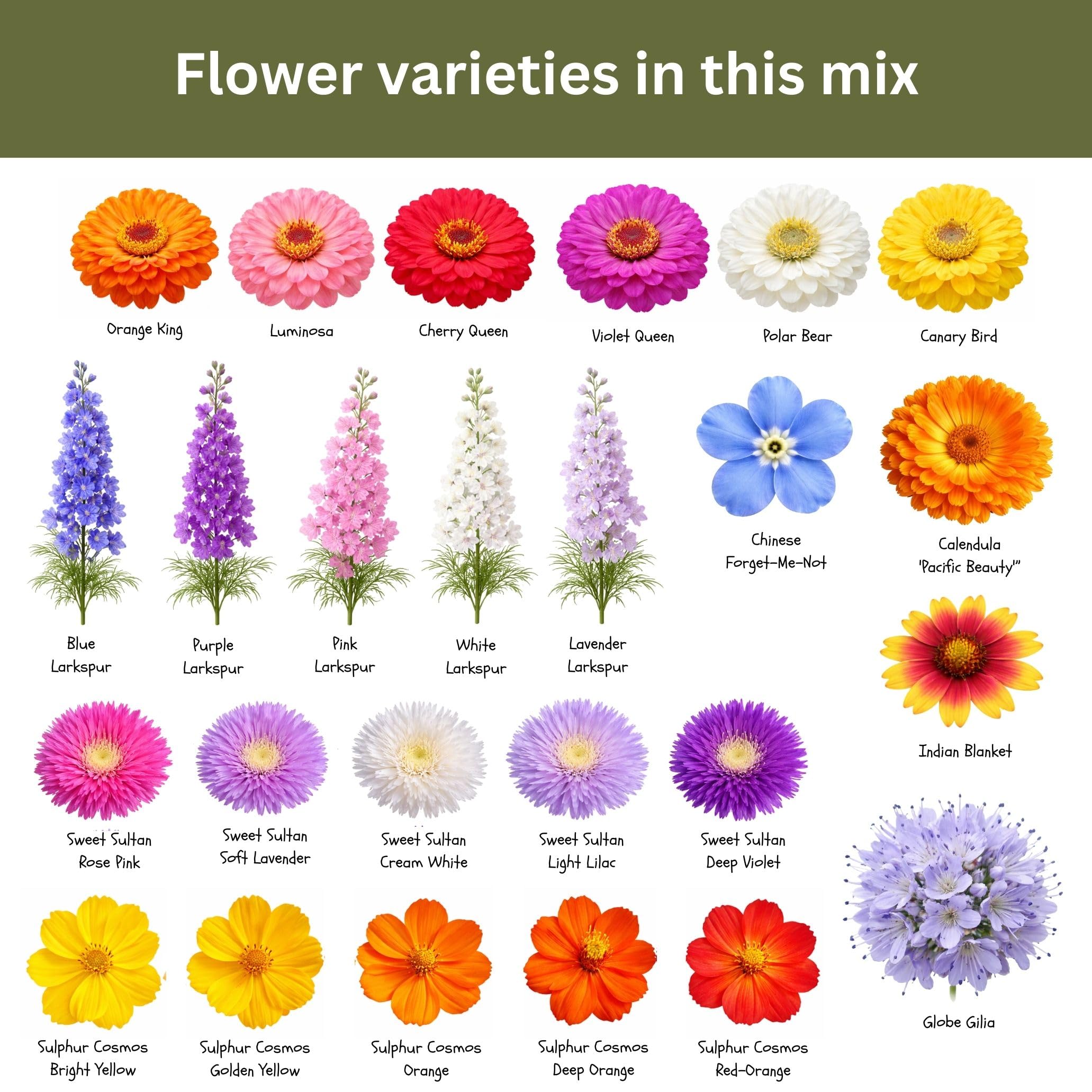 SunHaven Seeds pollinator-friendly-mix attracts bees and butterflies