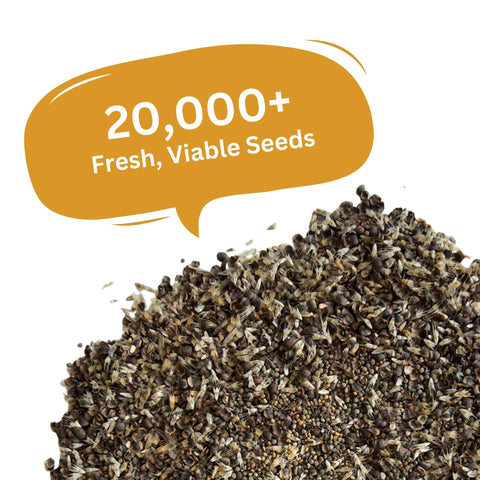 SunHaven Seeds pollinator-friendly mix; supports bees and butterflies in dry gardens.