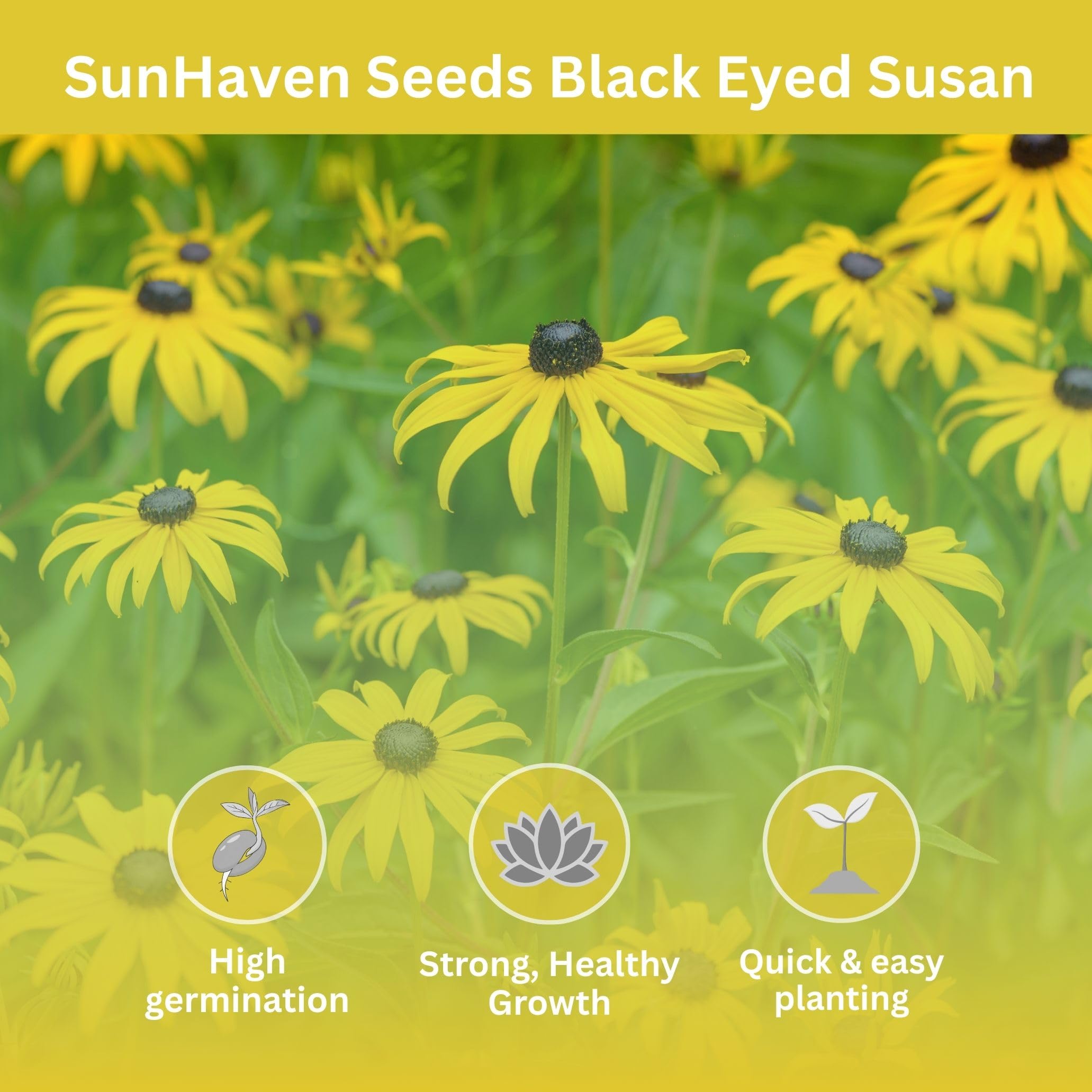 SunHaven Seeds resealable foil-lined pouch keeps seeds fresh between plantings