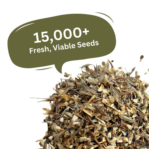 SunHaven Seeds season-long-harvest offers ongoing stems for bouquets