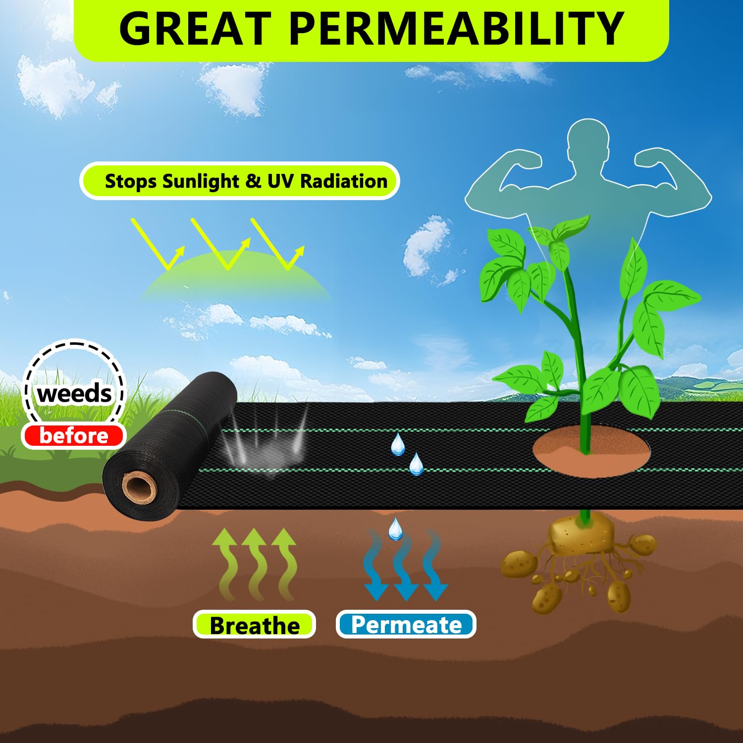 Sunifier garden bed cover eco-friendly fabric protects soil and reduces weeds.