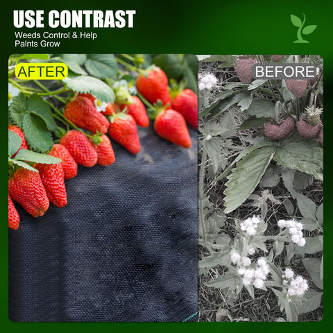 Sunifier barrier fabric allows air and water flow while preventing weeds.