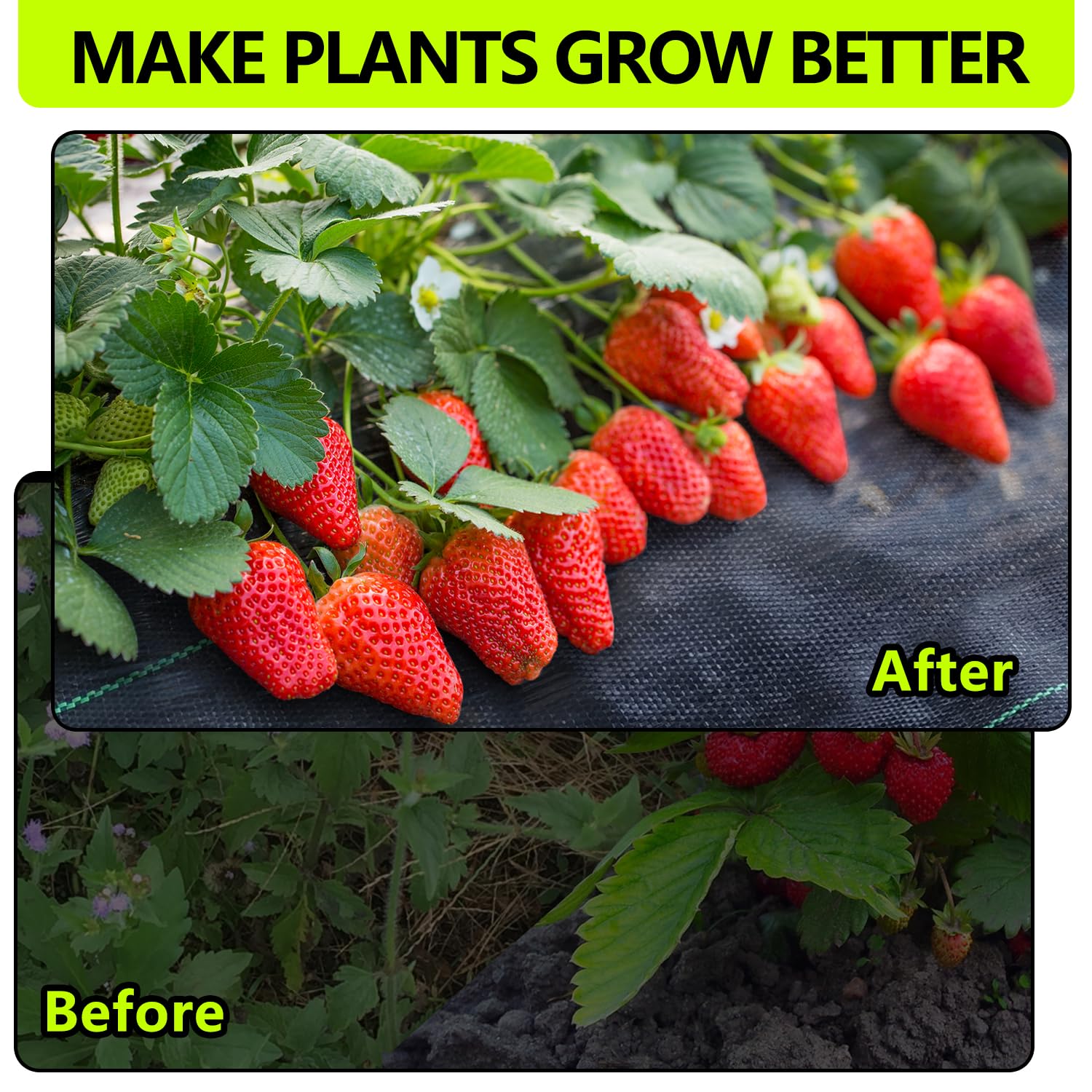 Sunifier pathway underlay weed barrier supports clean margins and root health.