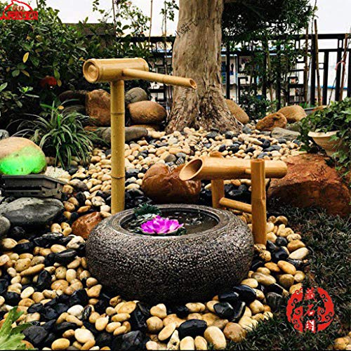 Sunlitec packaged bird bath kit delivering easy eco-friendly backyard upgrade