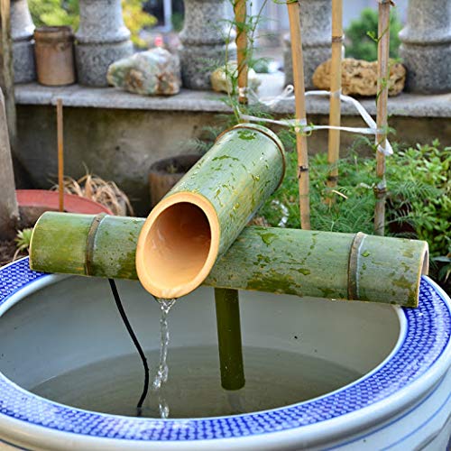 Sunlitec small pond water feature providing oxygenation and visual charm in sunlit spaces