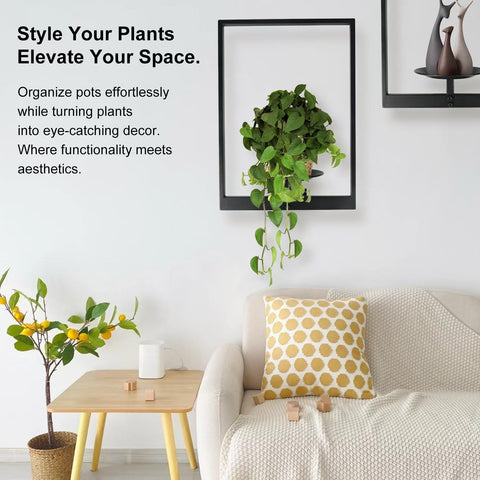 SUNLITOPTO multi-shelf arrangement showing customizable setup
