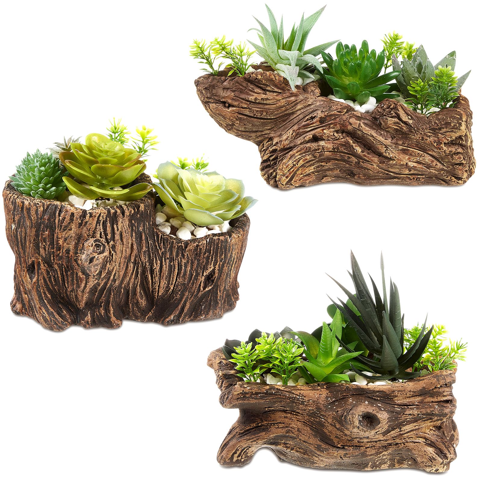 Sunnychicc driftwood stump planter set viewed from top, ideal for compact succulents.