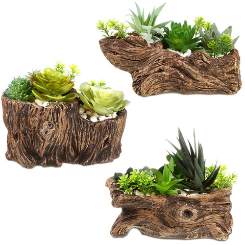 Sunnychicc driftwood stump planter set viewed from top, ideal for compact succulents.