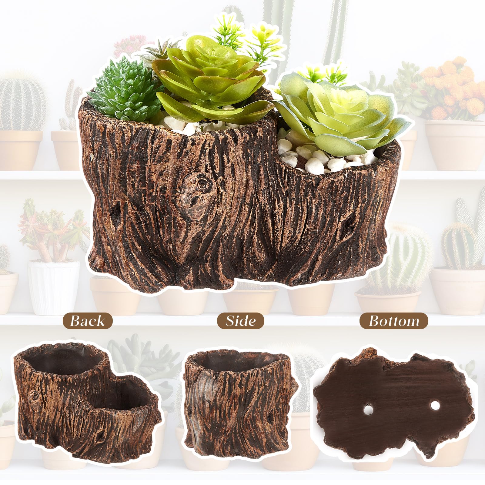 Sunnychicc driftwood planter with drainage holes, designed to support healthier plant growth.