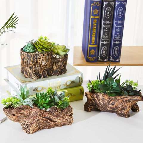 Sunnychicc driftwood planter in a living room corner, adding earthy charm.