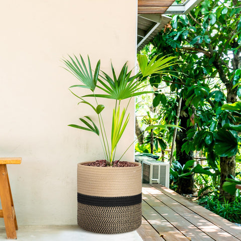 Sunnychicc assembled planter display demonstrates a ready-to-use decor solution.