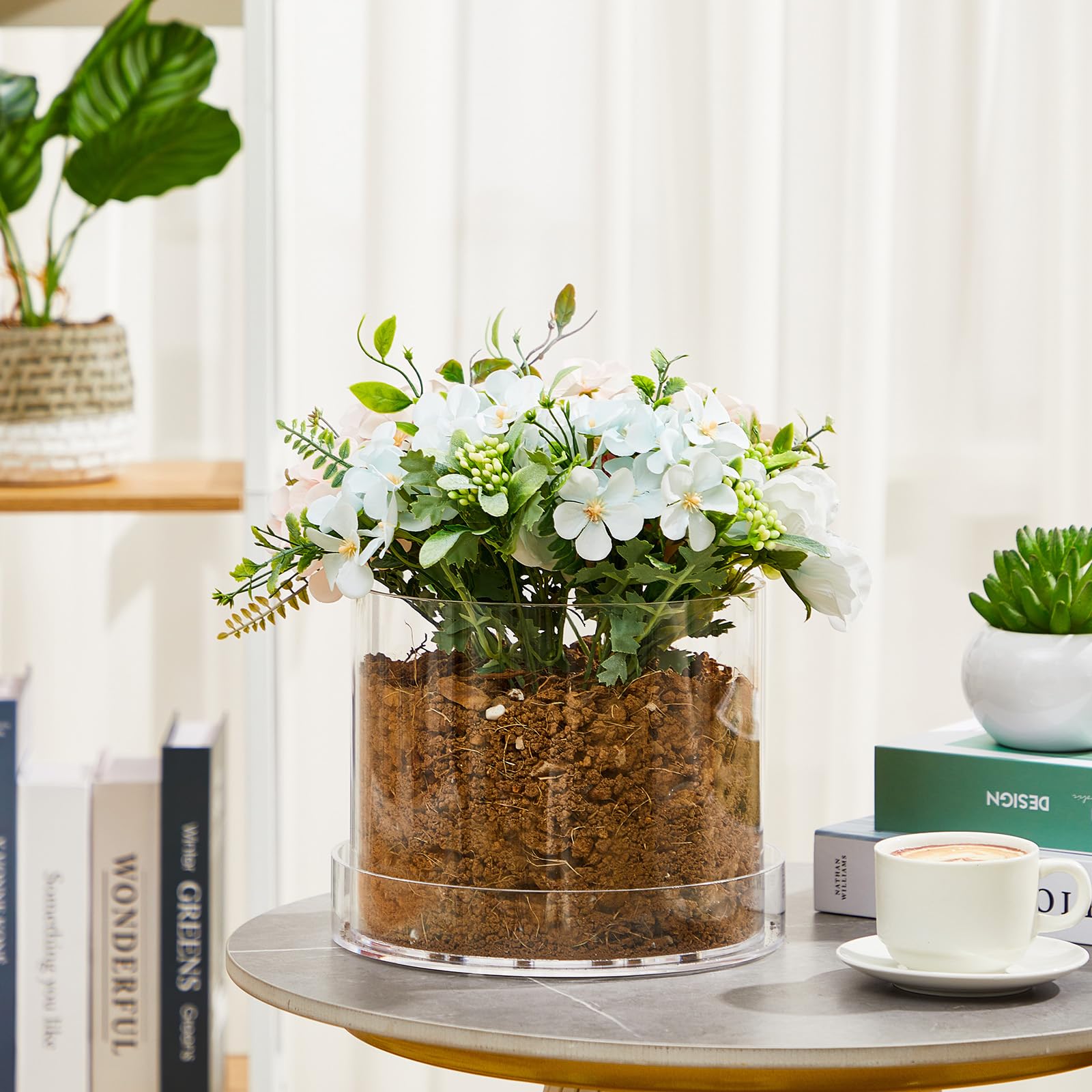 Sunnychicc clear pot with tray shown with thriving indoor plants