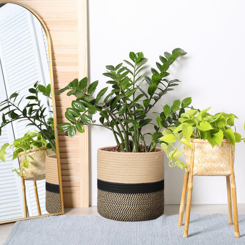 Sunnychicc easy-care setup shows how to reshape after shipping.