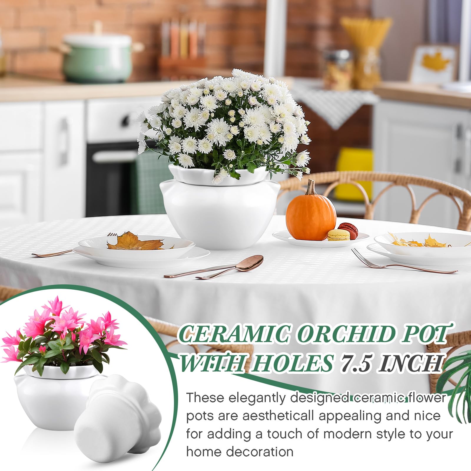 Sunnychicc indoor plant pot blends elegance with practicality for home decor.