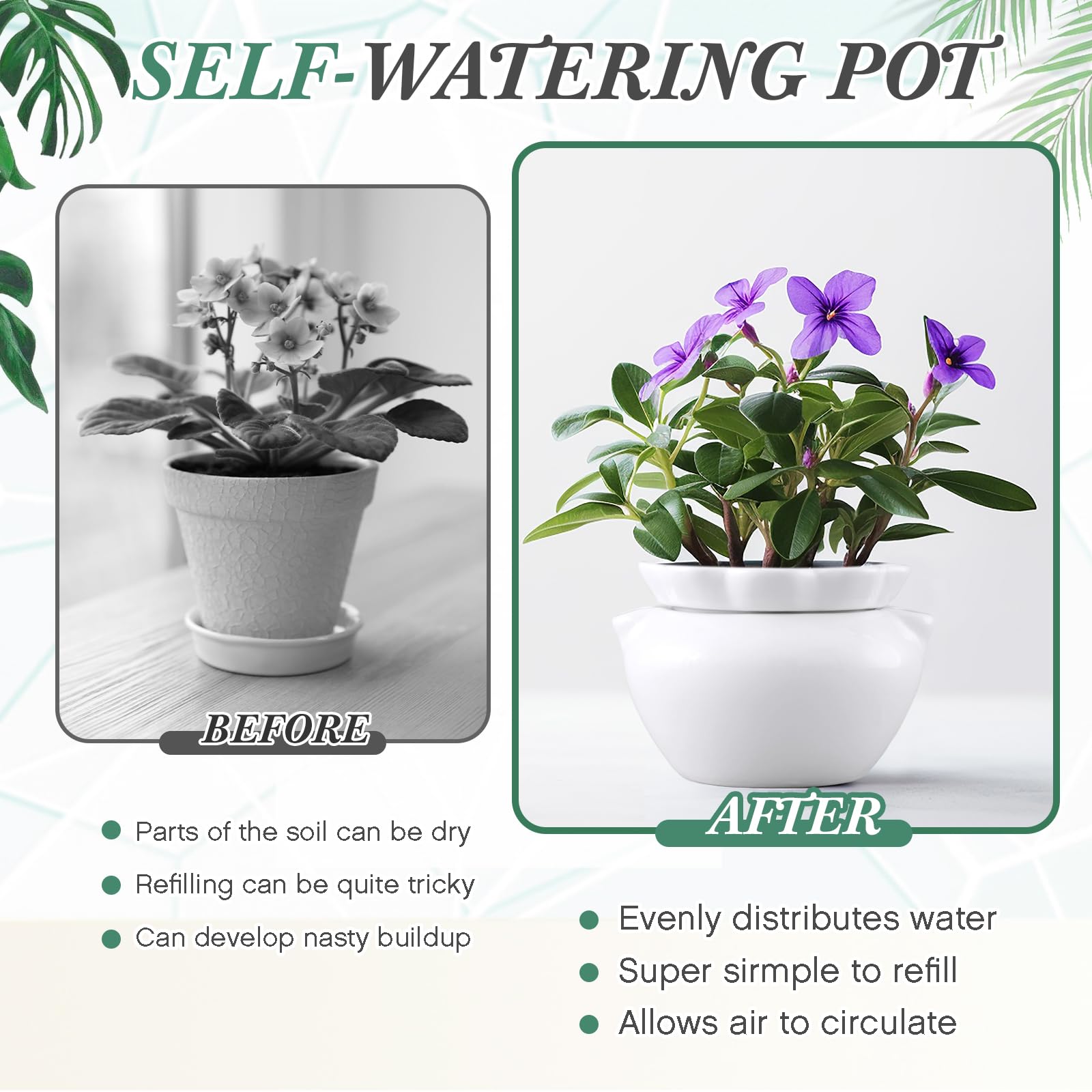 Sunnychicc inner-tank design ensures gradual hydration for plant roots.
