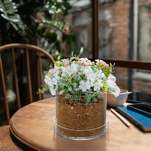 Sunnychicc packaged clear pot with tray, ready for gifting