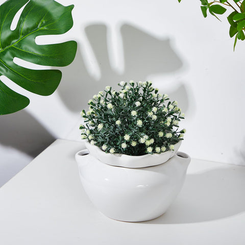 Sunnychicc versatile pot suitable for violets, herbs, succulents, and more.