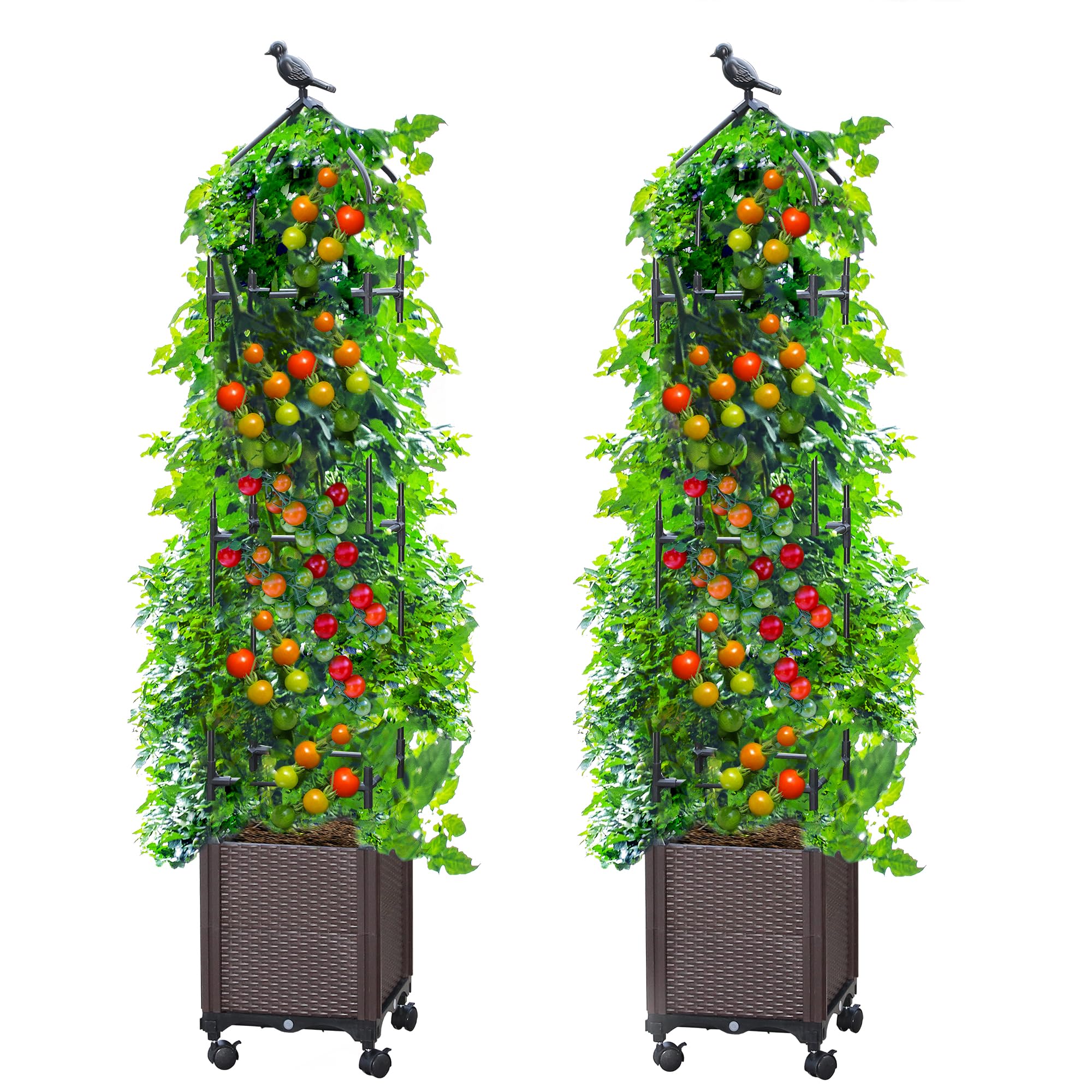 Sunnyglade raised garden bed with trellis, sturdy 63-inch height for climbing vegetables.