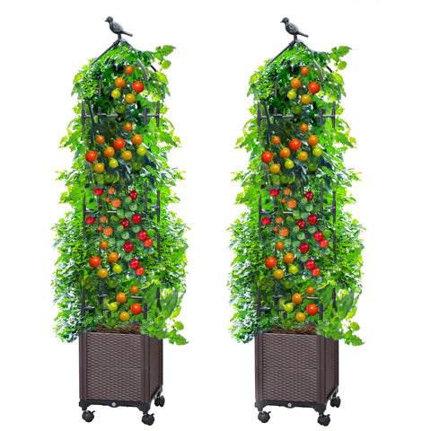 Sunnyglade raised garden bed with trellis, sturdy 63-inch height for climbing vegetables.