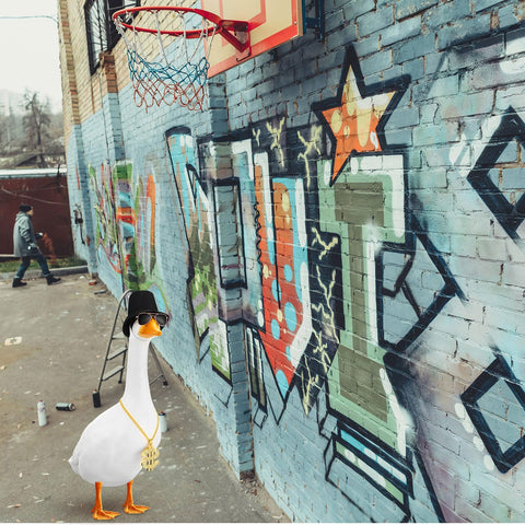 Sunnymove goose outfit with rapper glasses enhances retro charm for outdoor parties