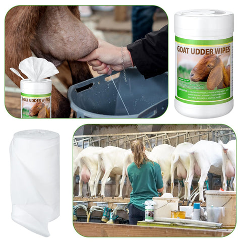 Sunnymove teat wipes farm-use scene supports quick pre-milking prep.