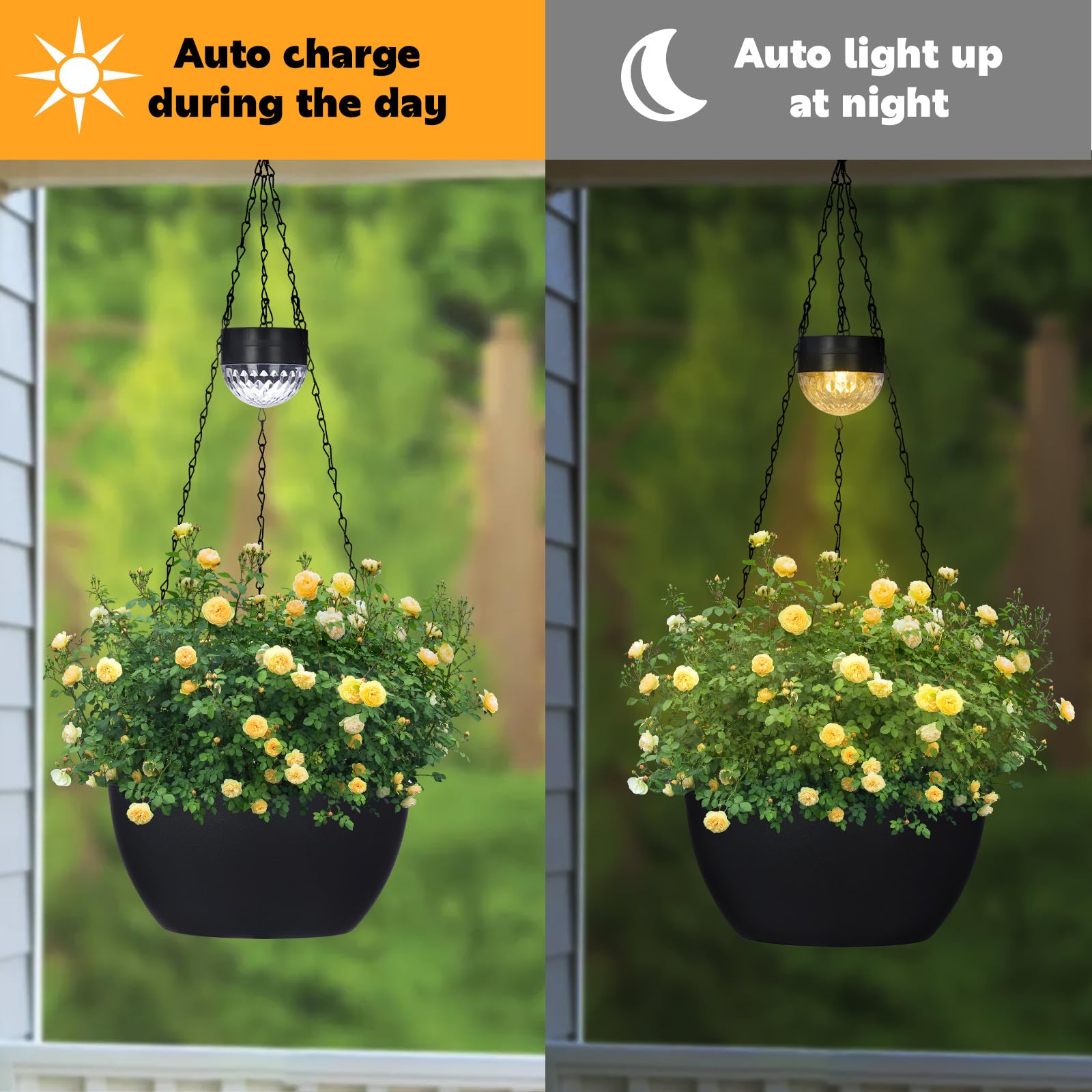 SUNNYPARK elevated watering base supports soil moisture balance for healthier plants.