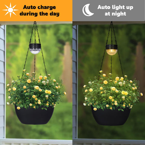 SUNNYPARK elevated watering base supports soil moisture balance for healthier plants.