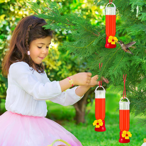 Window or garden display lets you observe hummingbirds up close.