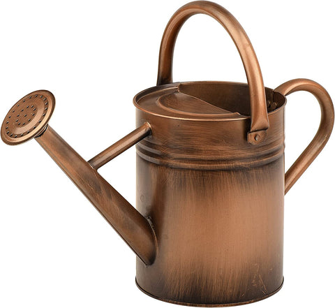 SunnyTong 1-gallon metal watering can full view highlighting durable galvanized steel for indoor and outdoor use.